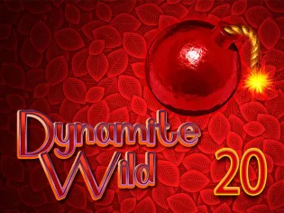 Dynamite Wild 20 thumbnail